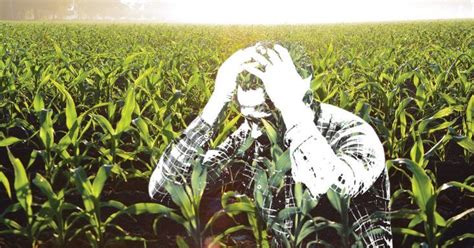 Ky Efforts At Farmer Suicide Prevention Are A National Model Uk