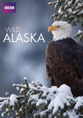 Wild Alaska Netflix show - Movies-Net.com