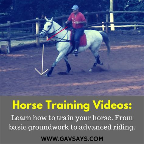 Horse Training Videos - GavSays.com