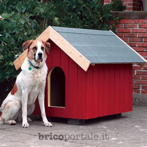 Costruire Una Cuccia Termoisolata Video Progetti Di Casa Del Cane