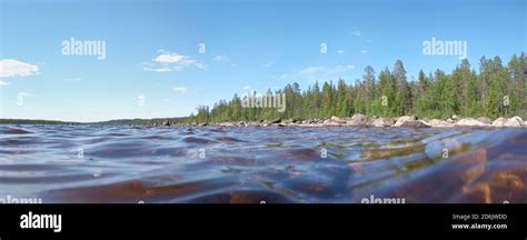 Swimming In The River Skelleftealven In Vasterbotten Sweden Stock