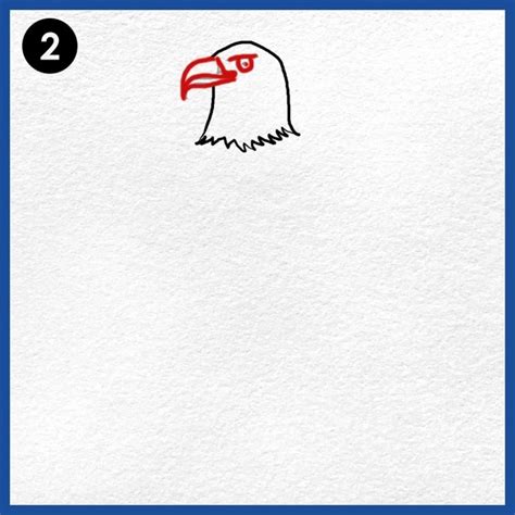 How To Draw An Eagle Step By Step - Drawings