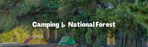 Camping in National Forests: Your Ultimate Guide