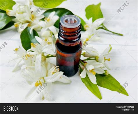 Neroli Citrus Image And Photo Free Trial Bigstock