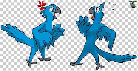 Angry Birds Rio Blu Illustration PNG - angry birds, angry birds rio ...