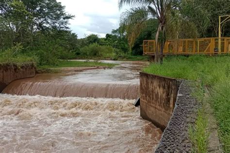 Jornal Da Franca Dia Do Meio Ambiente Sabesp Comemora Plantio De