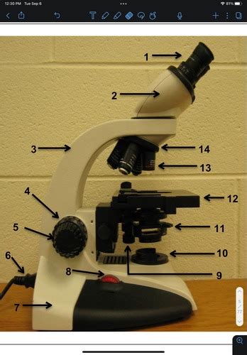 Parts Of A Microscope Flashcards Quizlet