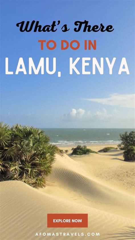 What S There To Do In Lamu Kenya In 2024 Travel Travel Guide Kenya