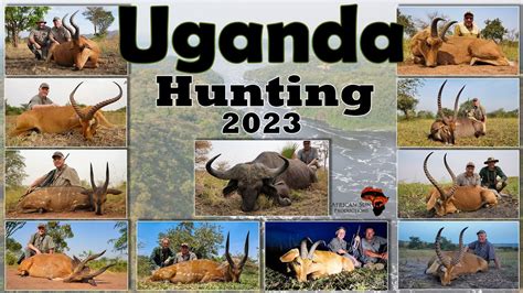 Hunting In Uganda Buffalo And Plains Game Hunting In East Africa