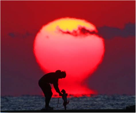 だるま夕日と宿毛の四季 フォトギャラリー すくも観光ナビ