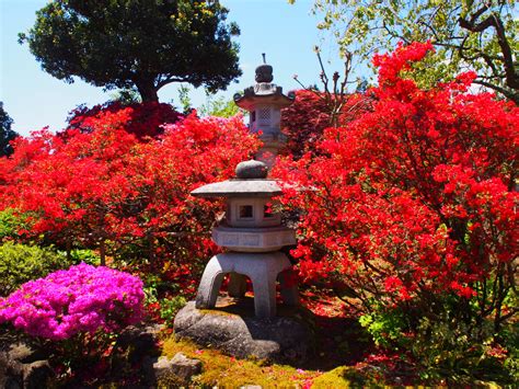 オープンガーデン【明楽寺】 金沢おもしろ発掘