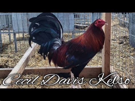 Cecil Davis Kelso Escobedo Farm Kansas Youtube