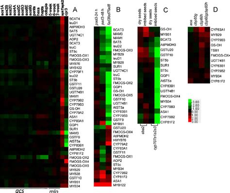 Heatmaps Of Glucosinolate Biosynthetic Genes Expressed In Different