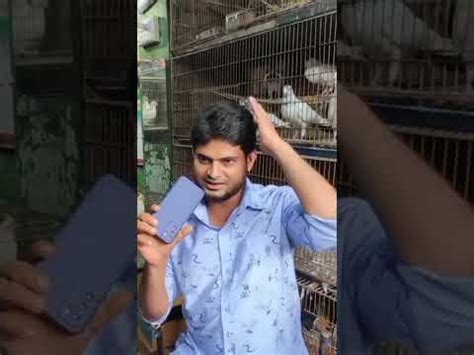 monir birds fair khulna borobazar murgi potti bangladesh