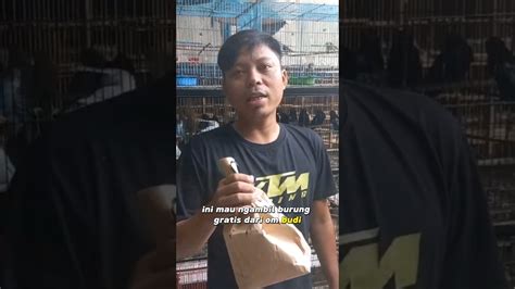 SELAMAT OM WAWAN DARI TANAH ABANG Shorts Giveaway Abadibird YouTube