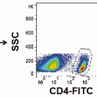 Representative Images Showing The Flow Cytometry Gating Strategy Used