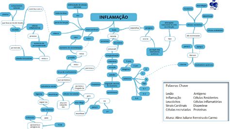 Mapa Mental Inflama O Patologia Patologia B Sica