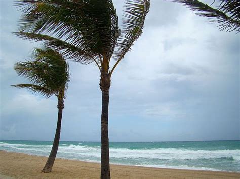 Wind Advisory Continues For Big Island Big Island Now