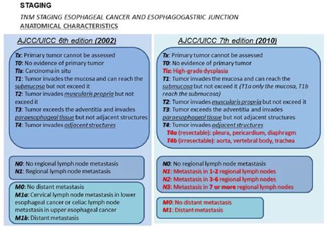 Figure 2 From Esophageal Cancer Anatomical Features Current