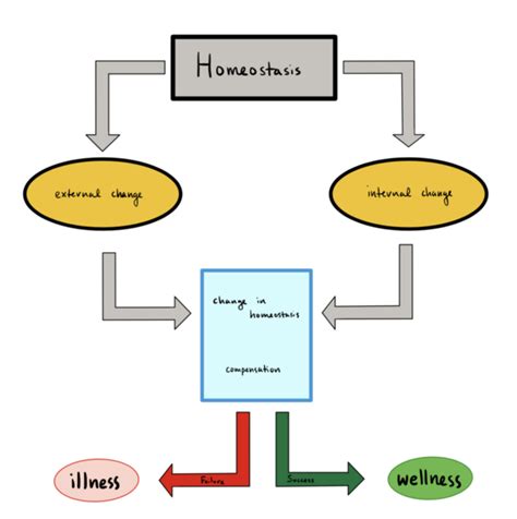 homeostasis physiopedia