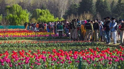 Kashmir Sees Record Tourist Arrivals This Year Highest In A Decade