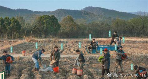 这群年轻人，在综艺节目中“种地”