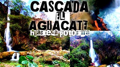 Cascada El Aguacate San Luis Potosi Huasteca Tamasopo Youtube