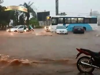 G Chuva Forte Alaga Ruas Arrasta Carros E Derruba Rvores Em