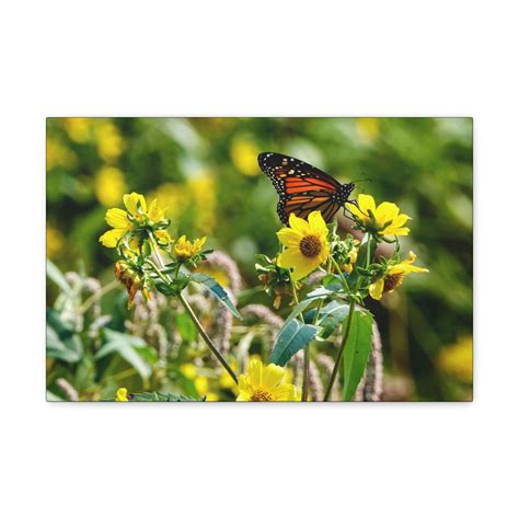 Monarch Butterfly Picture Canvas Print Farmhouse Wall Art Kitchen and ...