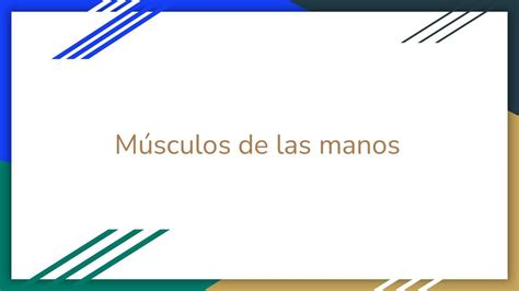 Músculos de las Manos Juli Ram uDocz