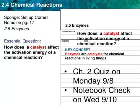 PPT Sponge Set Up Cornell Notes On Pg 17 2 5 Enzymes Essential