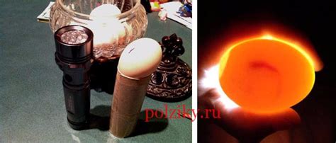 Как сделать овоскоп для яиц своими руками