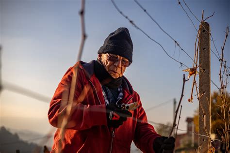 Abrigo Fratelli Wine Maker In Diano D Alba Langhe