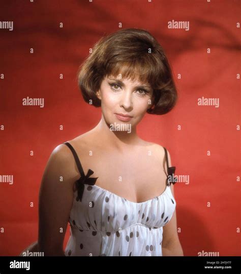 Gina Lollobrigida Actress Italian Hi Res Stock Photography And Images