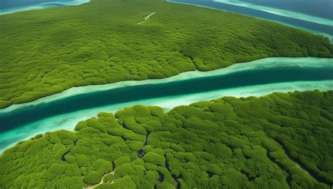 Belize Barrier Reef's Climate Impact on Mangroves