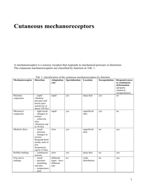 Cutaneous Mechanoreceptors