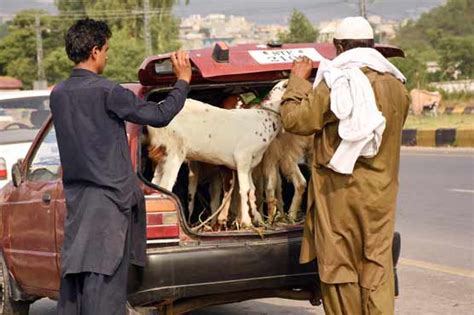 Govt Announces Three Holidays For Eidul Azha Pakistan Dunya News