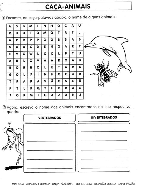 Atividades Sobre Animais Vertebrados E Invertebrados 3 Ano