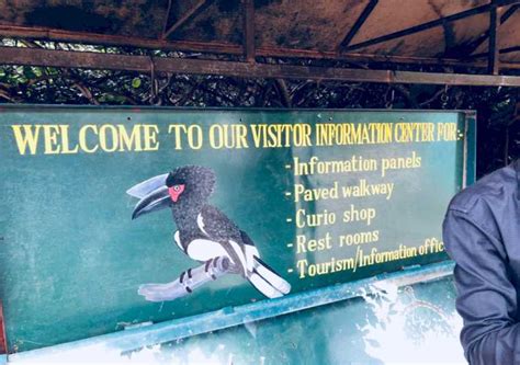 Arusha Gita Di Un Giorno Al Parco Nazionale Del Lago Manyara Con