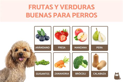 Cuanto Debe Comer Un Perro De Meses