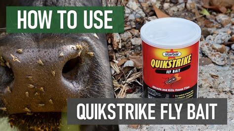 How To Use Quikstrike Fly Bait Agricultural Fly Control Youtube