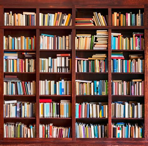 Top 5 Bookshelf Designs For Bookworms In Your House