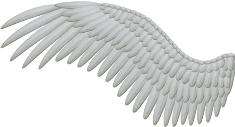 Angel Wing Feather Clip Art Wings Png Png Download 1024554 Free