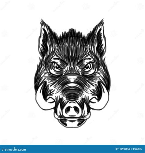 Isolated Wild Boar Head Sketch Drawing Stock Illustration