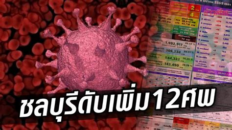 ชลบุรี เศร้า ติดโควิดดับพุ่ง12ศพ ป่วยใหม่ทะลุพัน ใส่ท่อช่วยหายใจเพิ่ม