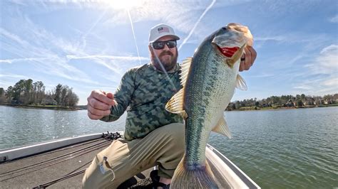 Lipless Crankbait Tricks And Spring Bass Fishing Tips Tactical