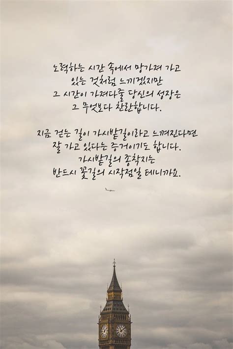 가시밭길의 종착지 현명 인용구 한국어 인용문 인생에 관한 명언