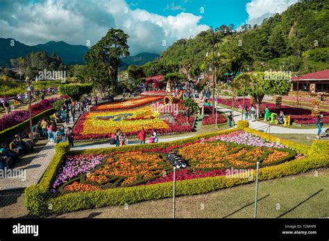 Feria del cafe y las flores Banque de photographies et dimages à haute