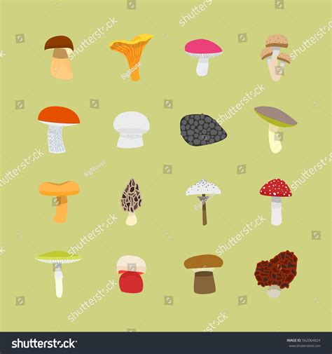 Cartoon Mushrooms Icon Set Flat Design Stock Vector Royalty Free