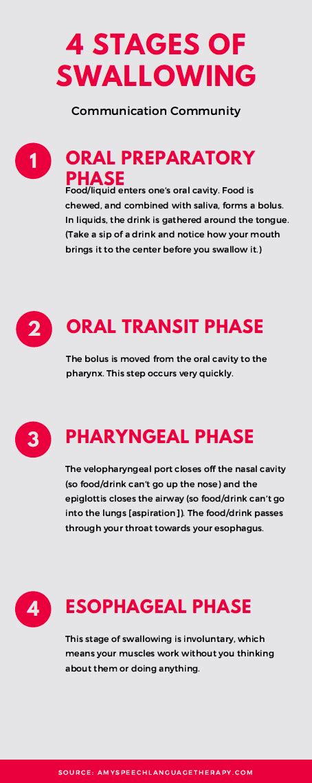 Dysphagia Stages